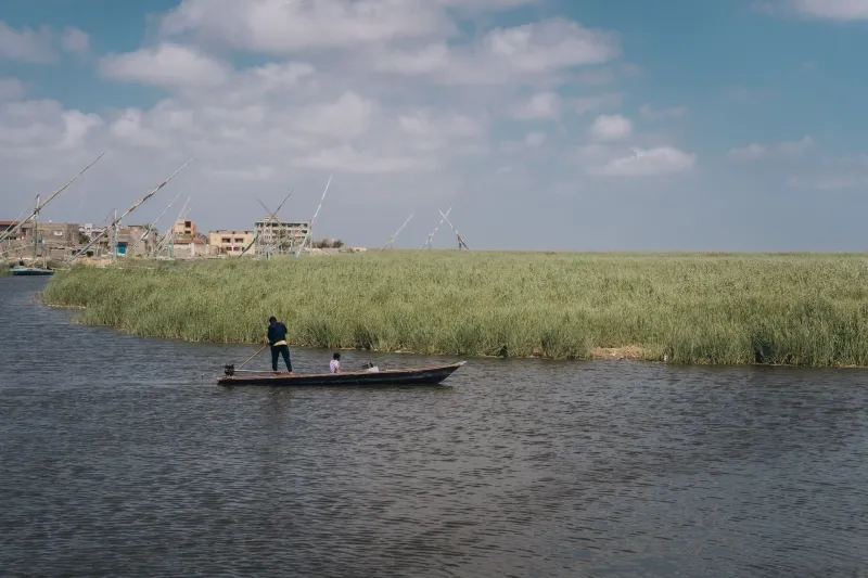 Fields of Desperation: The Human Cost Behind Asyut's Narcotics Crisis