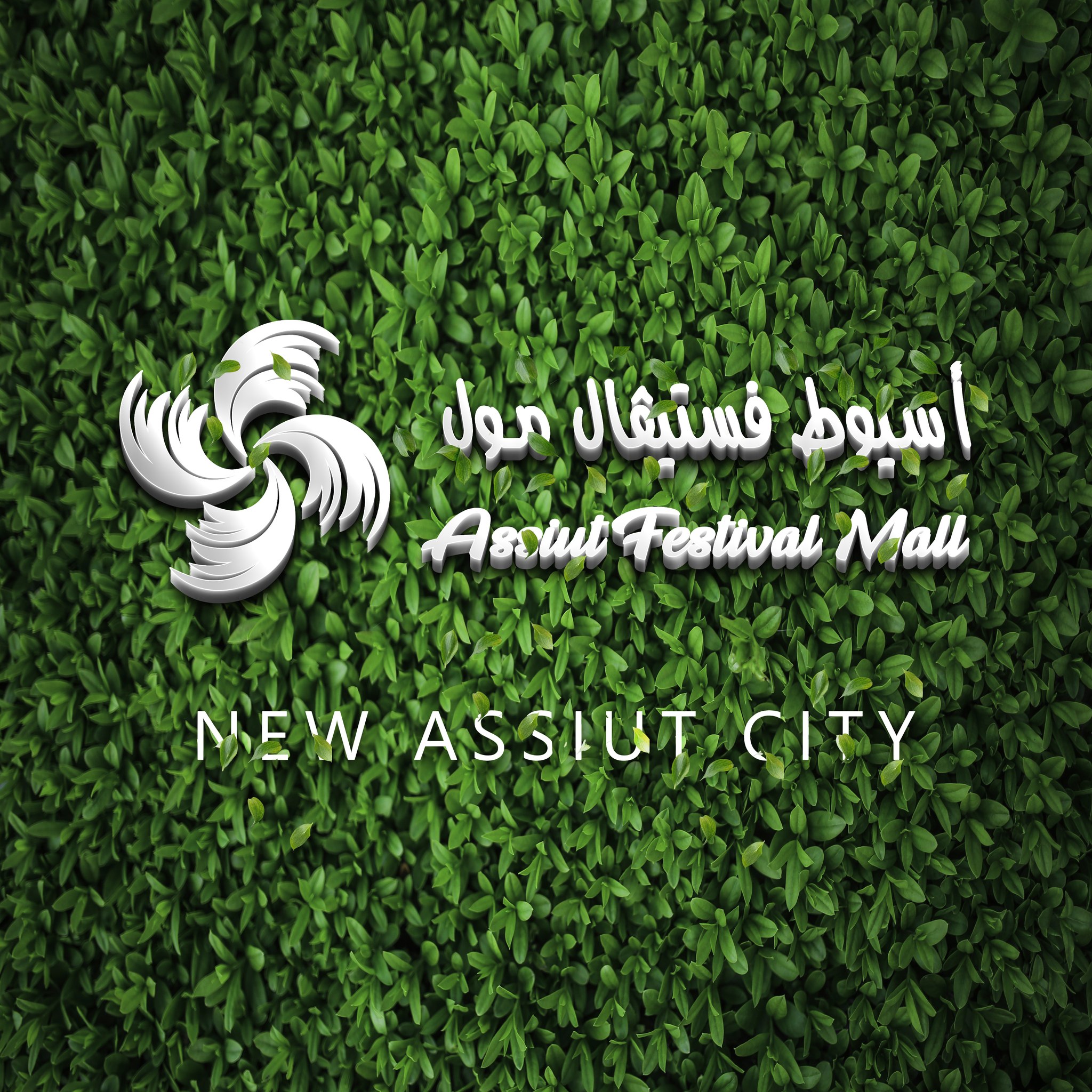 فستيفال مول أسيوط من المولات في أسيوط