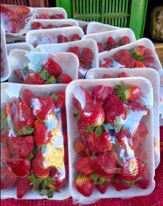 فكهاني الأمانة للخضروات والفواكة أسيوط من محلات فكهاني في أسيوط