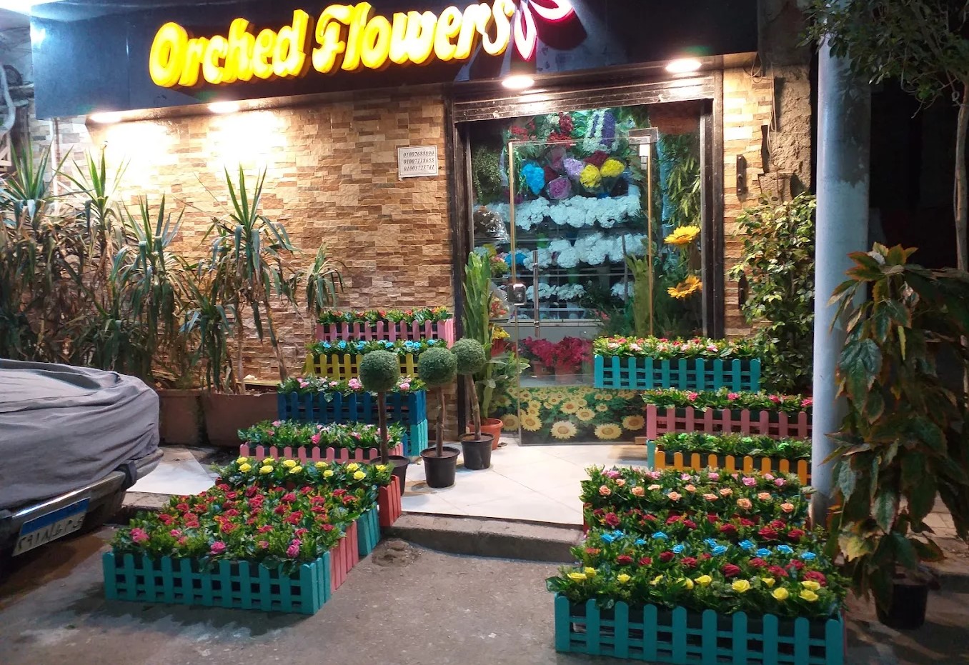 أوركيد أسيوط من محلات ورد في أسيوط