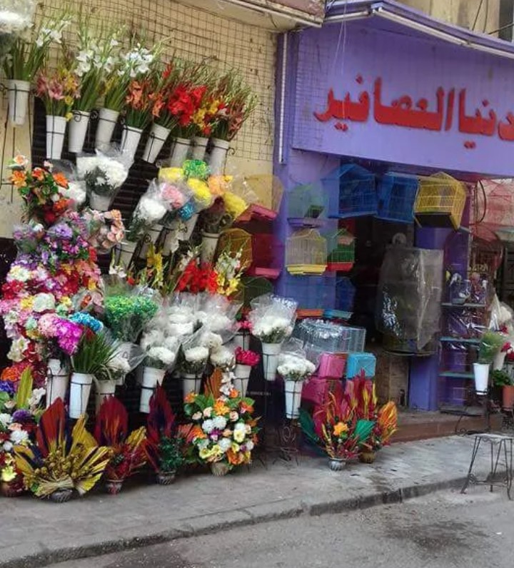 دنيا العصافير أسيوط باقات ورد أسيوط
